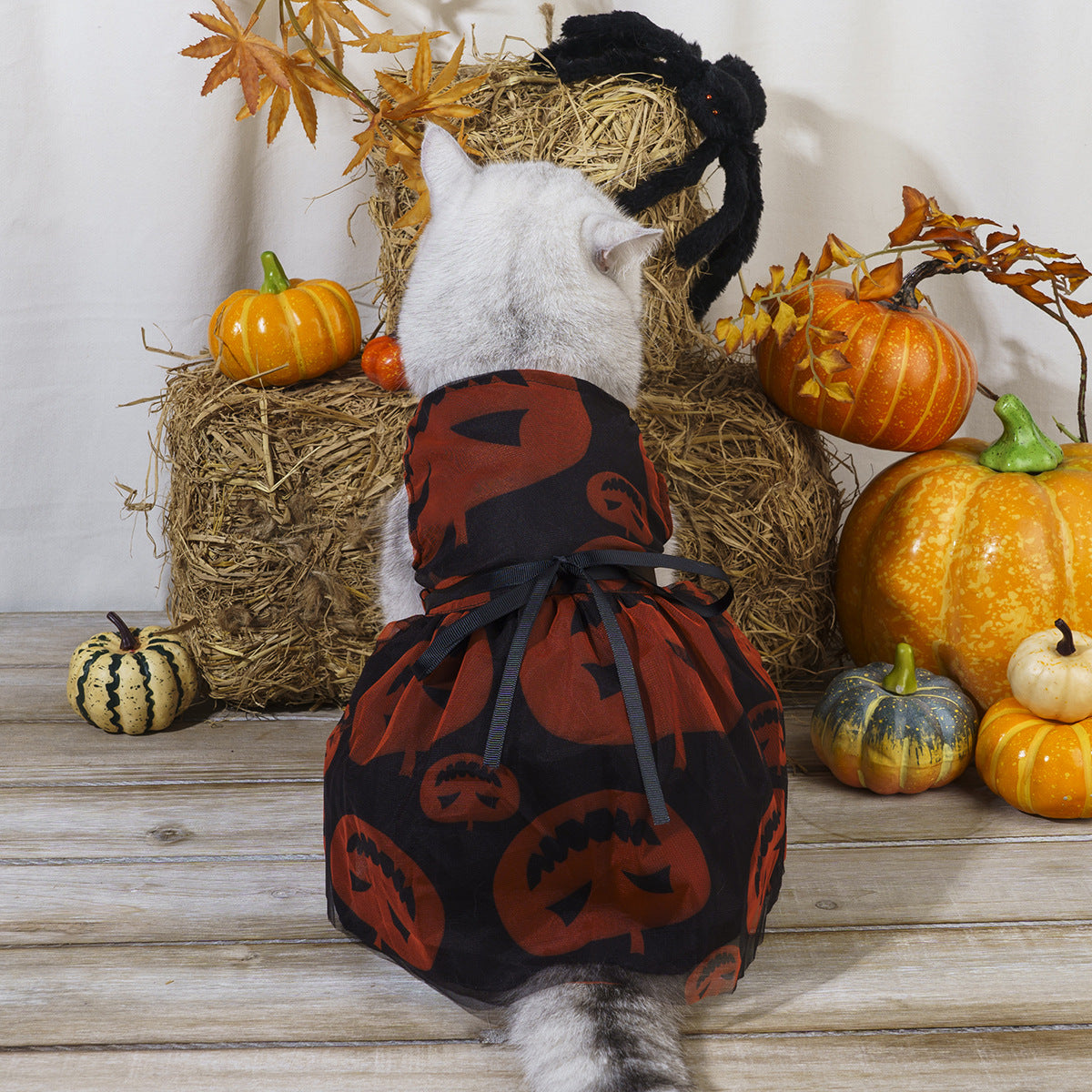 Halloween Tie Strap Dress for Small Dogs & Cats, Cute Pet Holiday Party Costume